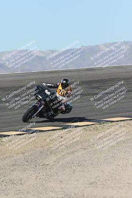 media/Oct-25-2025-Race Pace (Sat) [[47cce5476f]]/Non Verified (1st 20 Minutes of Every Hour)/1-Bowl (10am)/